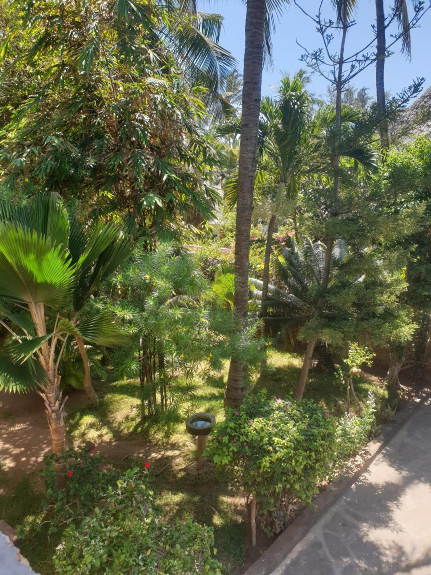 Marijani Holiday Resort Watamu Kültér fotó