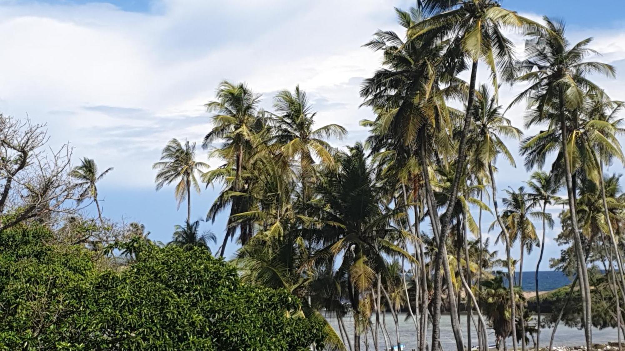Marijani Holiday Resort Watamu Kültér fotó